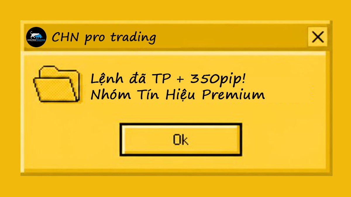 CHN PRO TRADING OFFICIAL