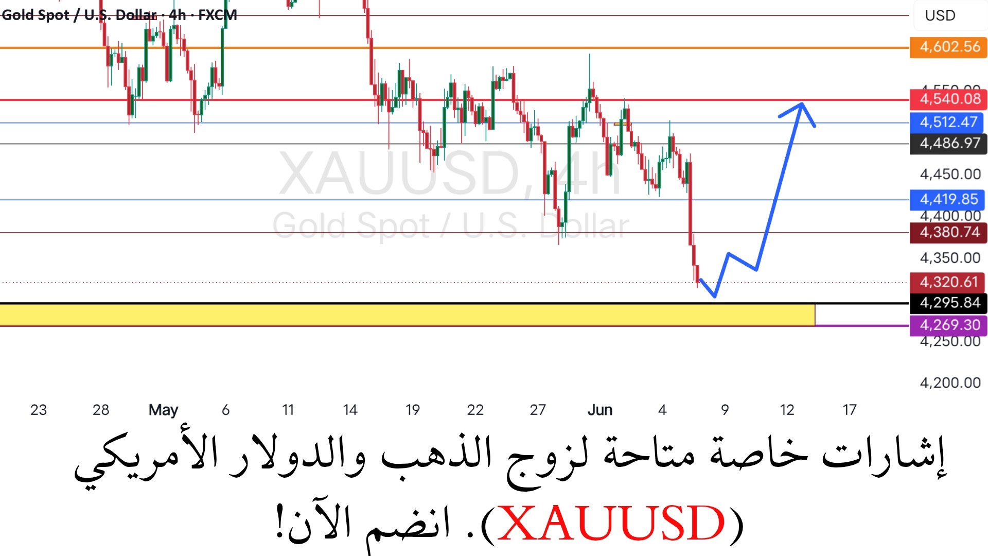 تـداول مـع يـاسـر
