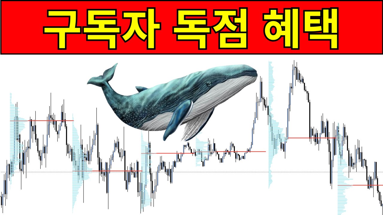 momotrades777