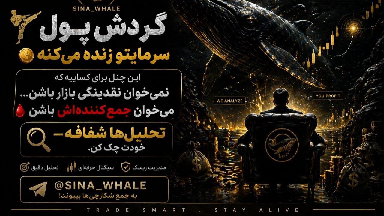 SINA WHALE | SM🩸