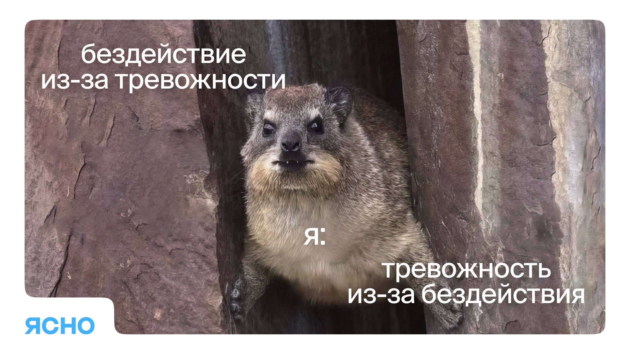 Ок, ясно