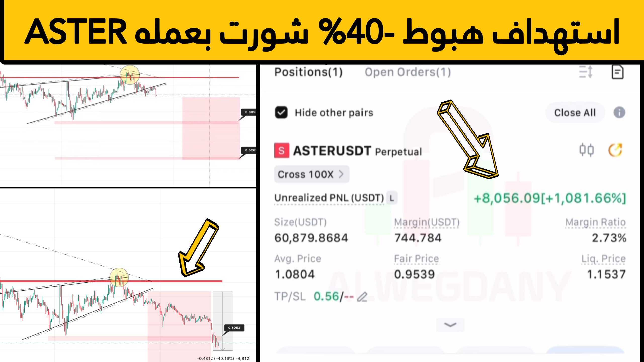 Al Wegdany