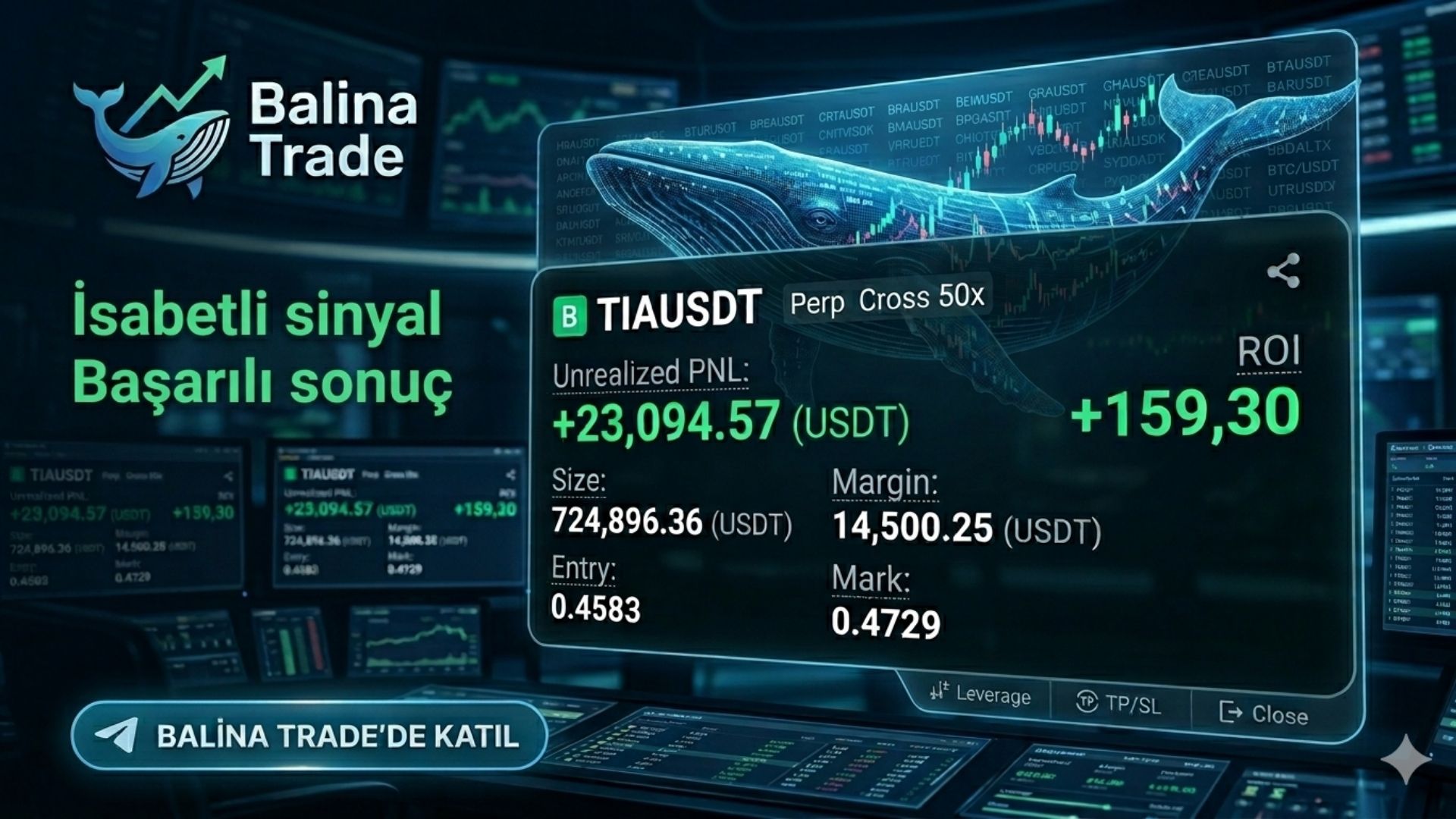 Balina Trade