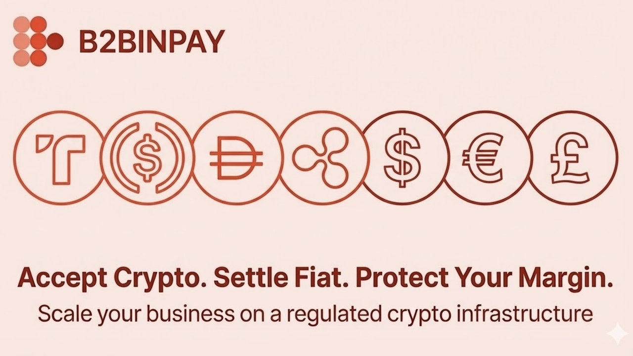 B2BINPAY