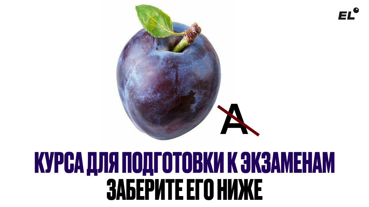 Тест-драйв курсов ЕГЭLand