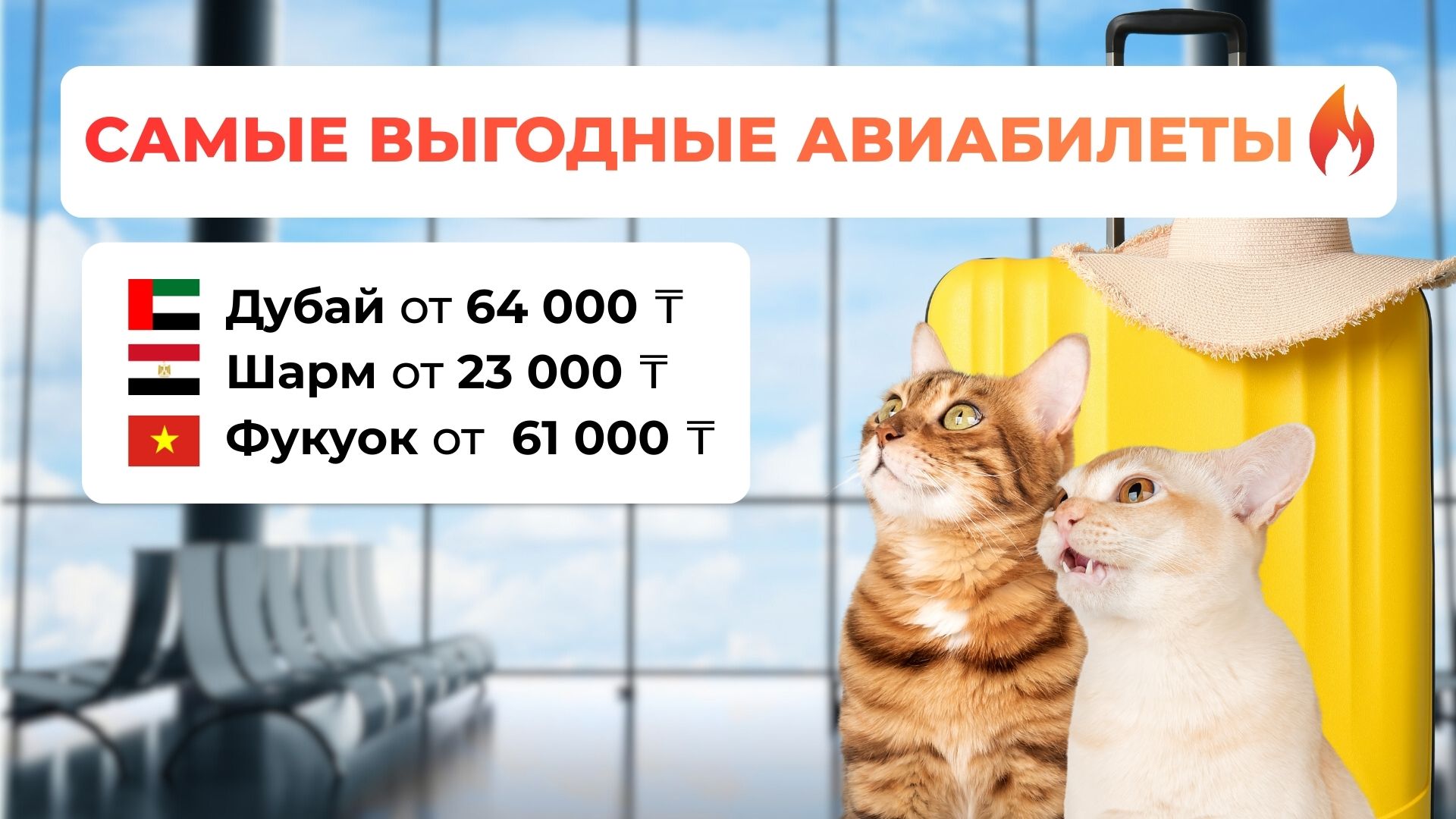 Билеты на чартерные рейсы от Flyday Travel