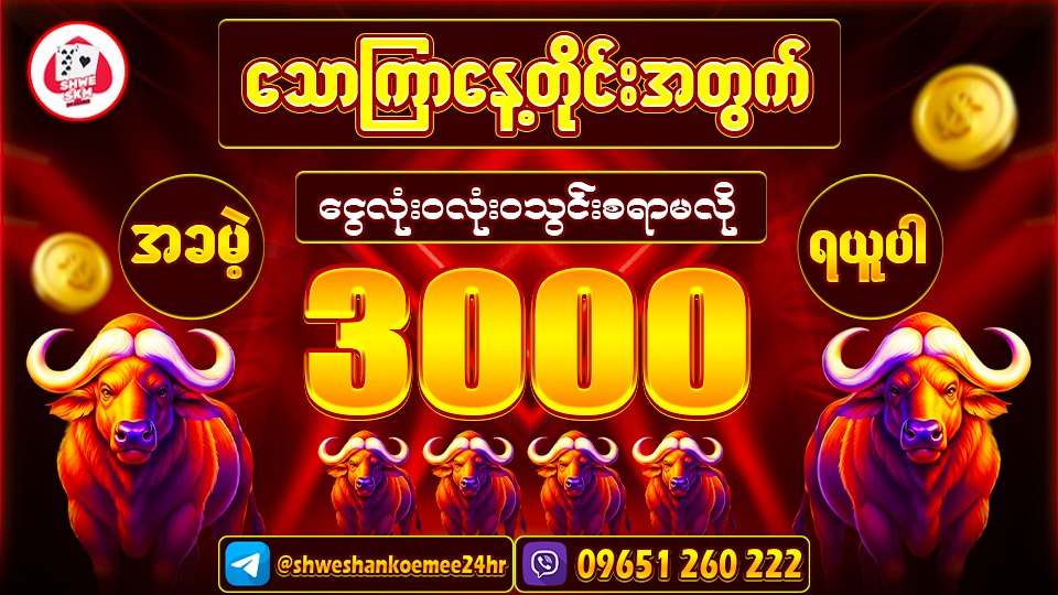 SHWE SHAN KOE MEE
