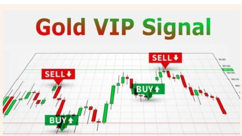 @freemarketsignals_99