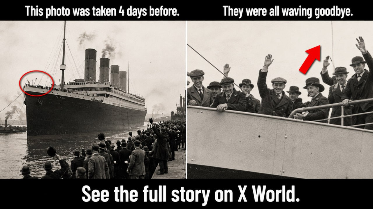 X WORLD 🌎