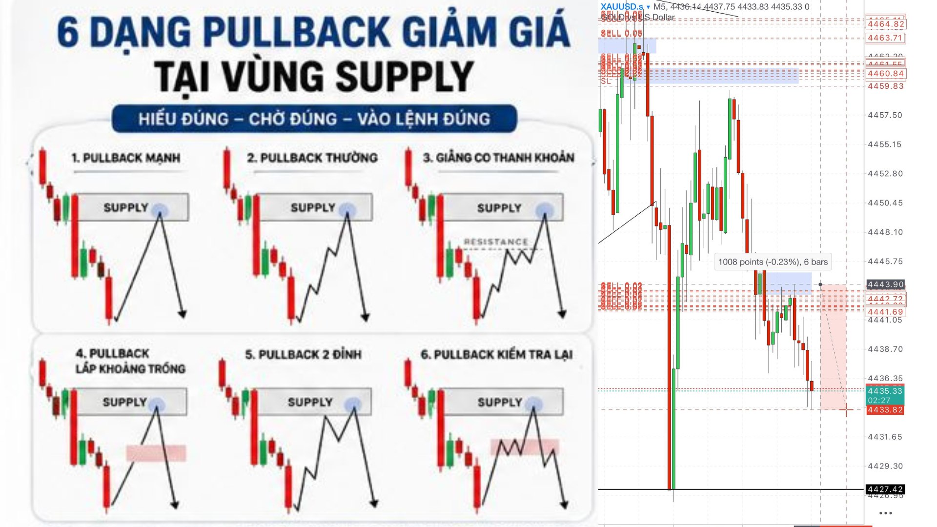Liquidity Intelligence