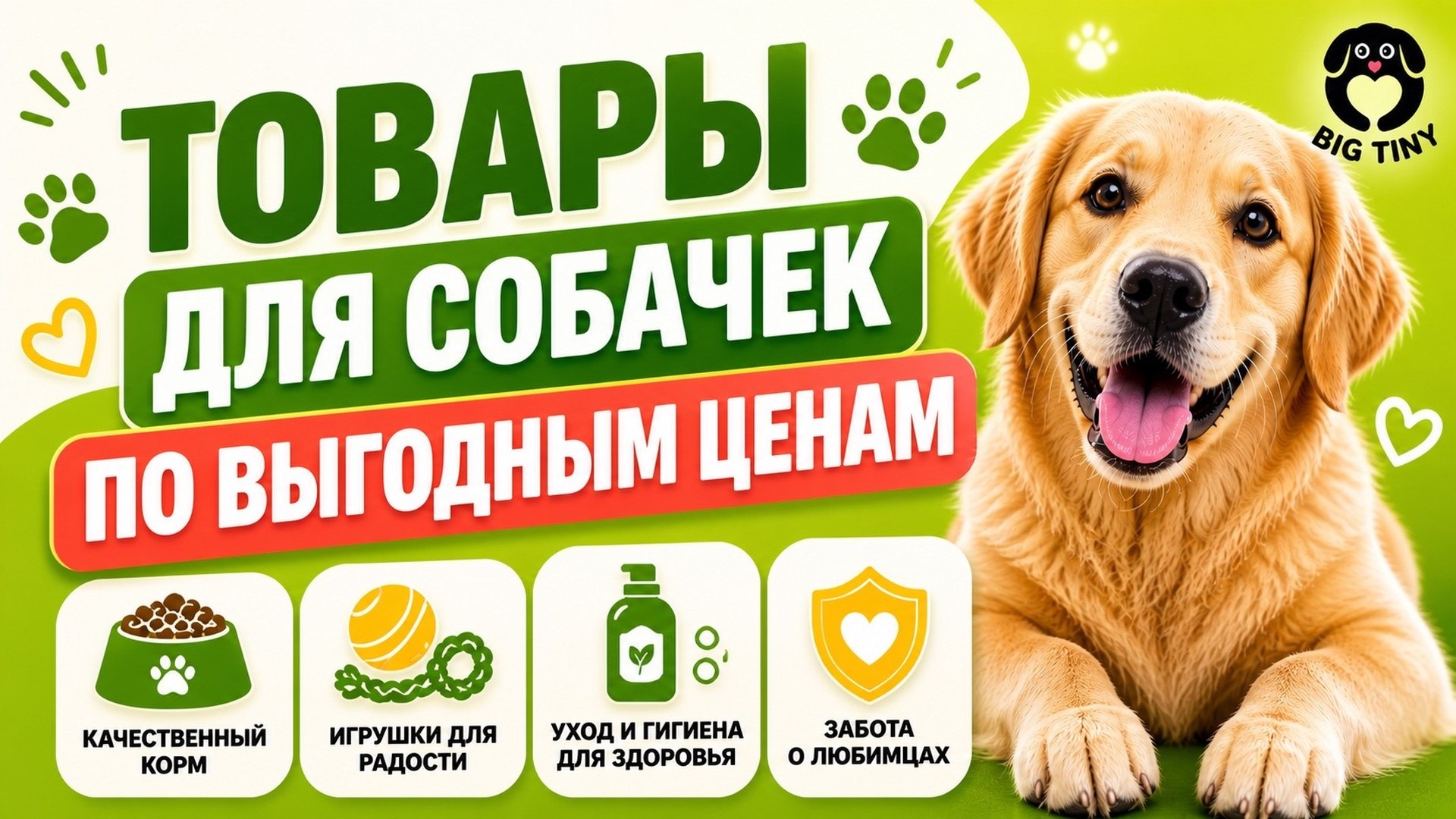BigTiny — зоотовары с заботой