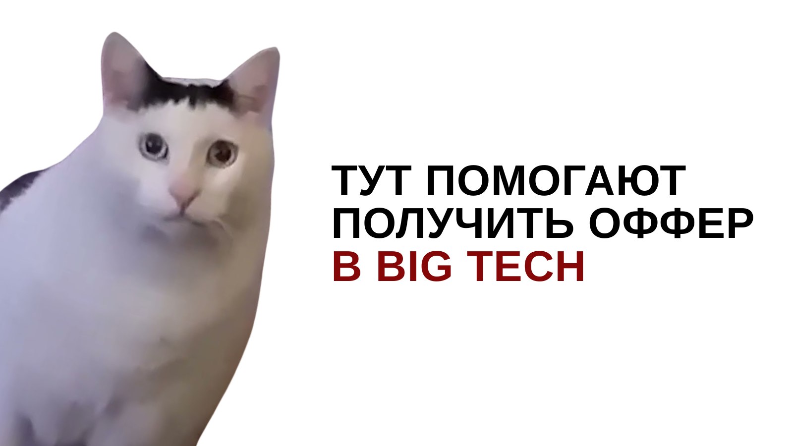 Тихон | Помогаю разработчикам устроиться в BigTech