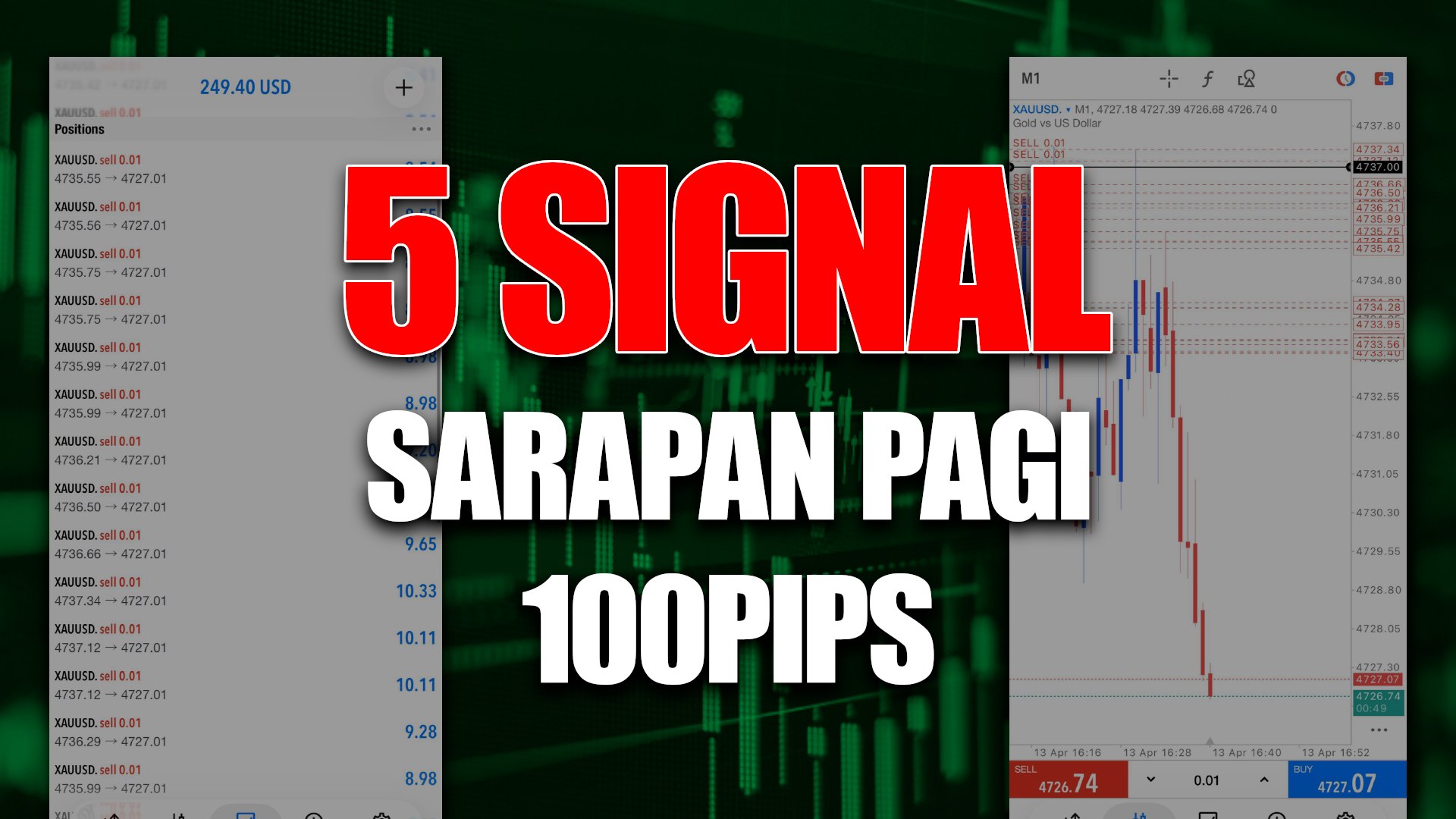 SamSudin Sang Flipper