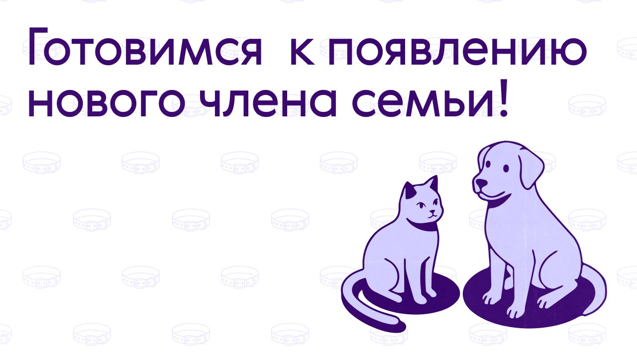 Застраховано в Ренессанс