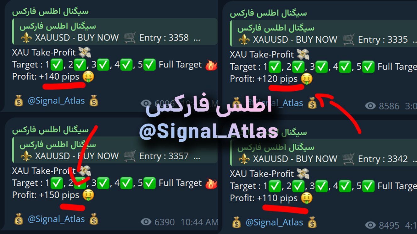 متداول محترف في مجال الذهب