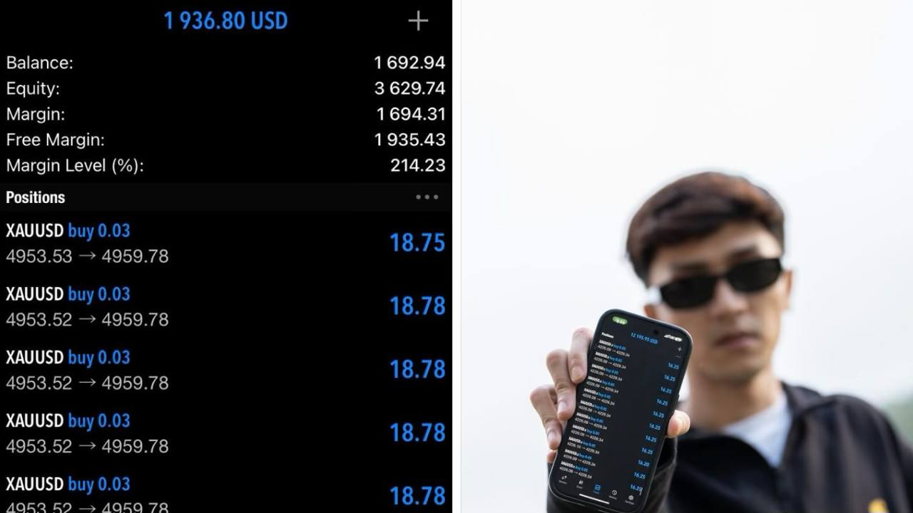 XAUUSD MARKET KILLER