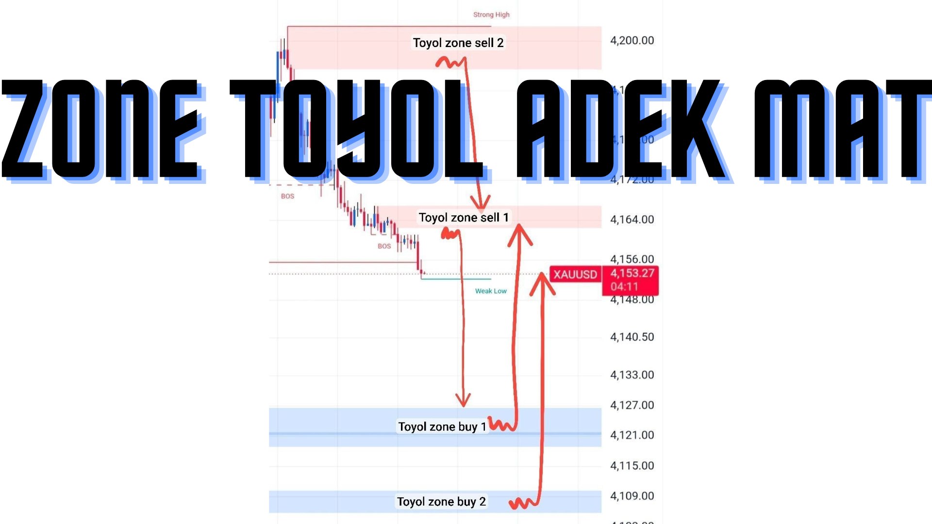 TRADER OTAI