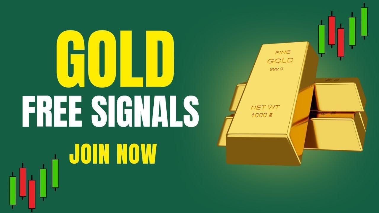 Xauusd free signal Team