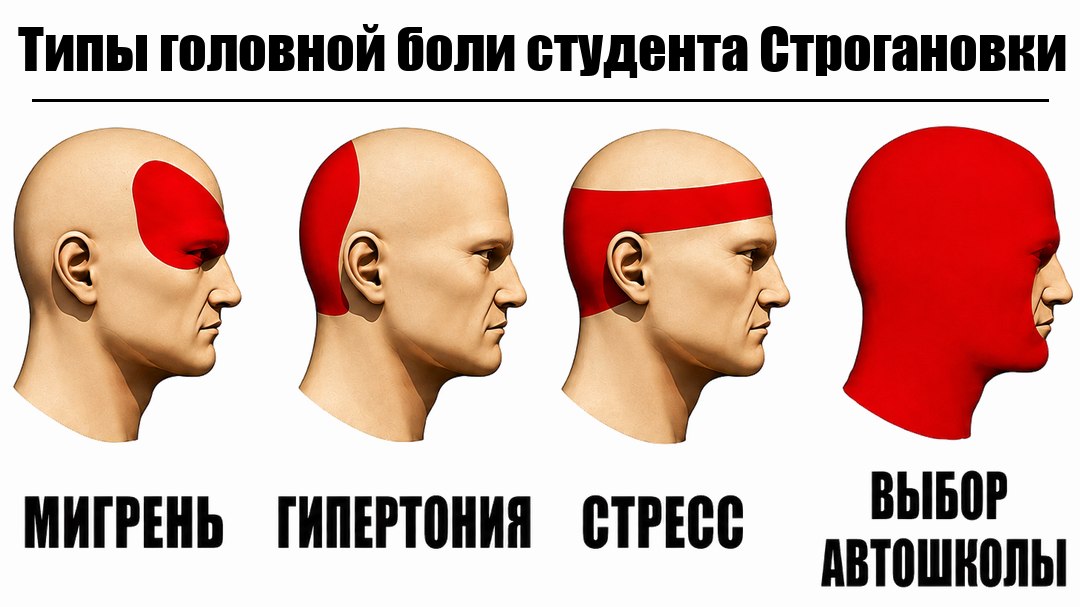 Автошкола для студентов Строгановки