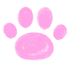 🐾