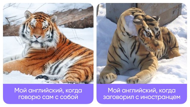 Инглекс | Заряжаемся английским