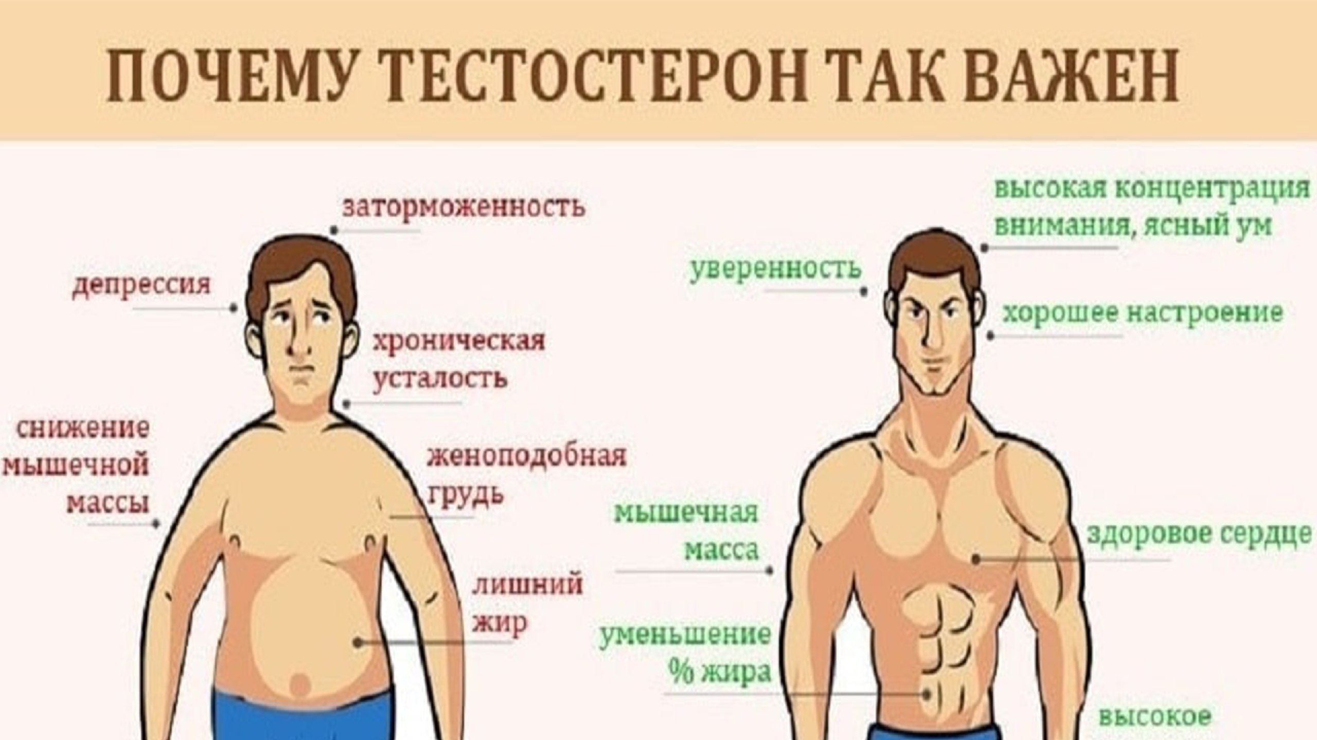 Спортсмен