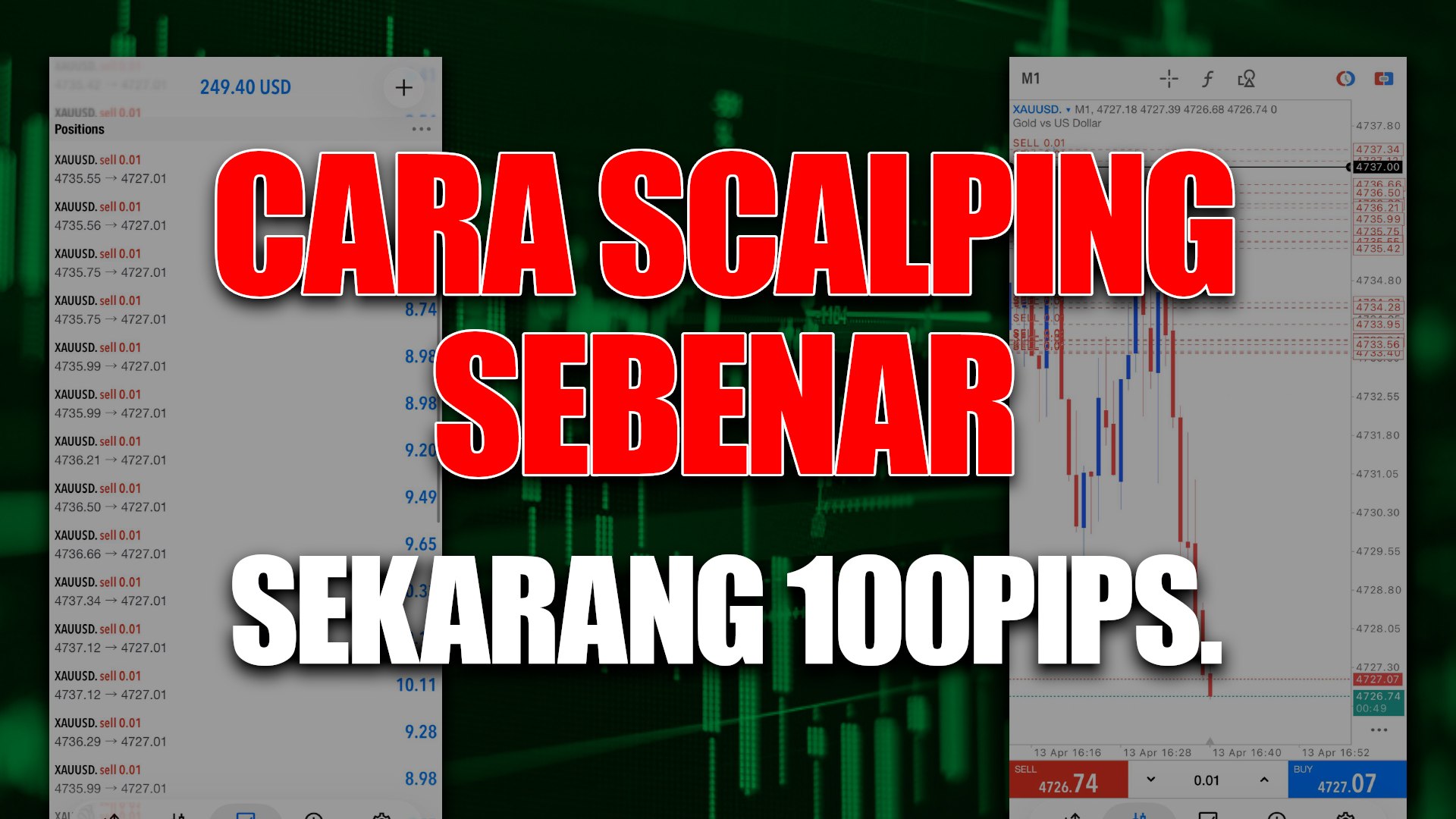 SamSudin Sang Flipper