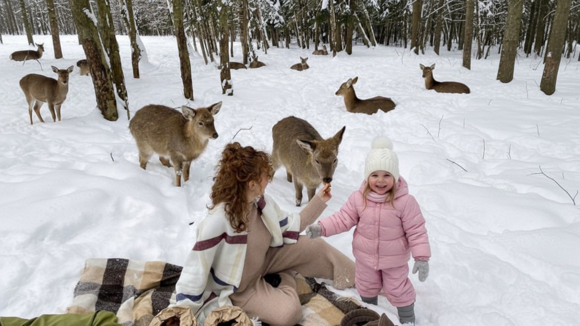 Оленья ферма Бэмби Лэнд