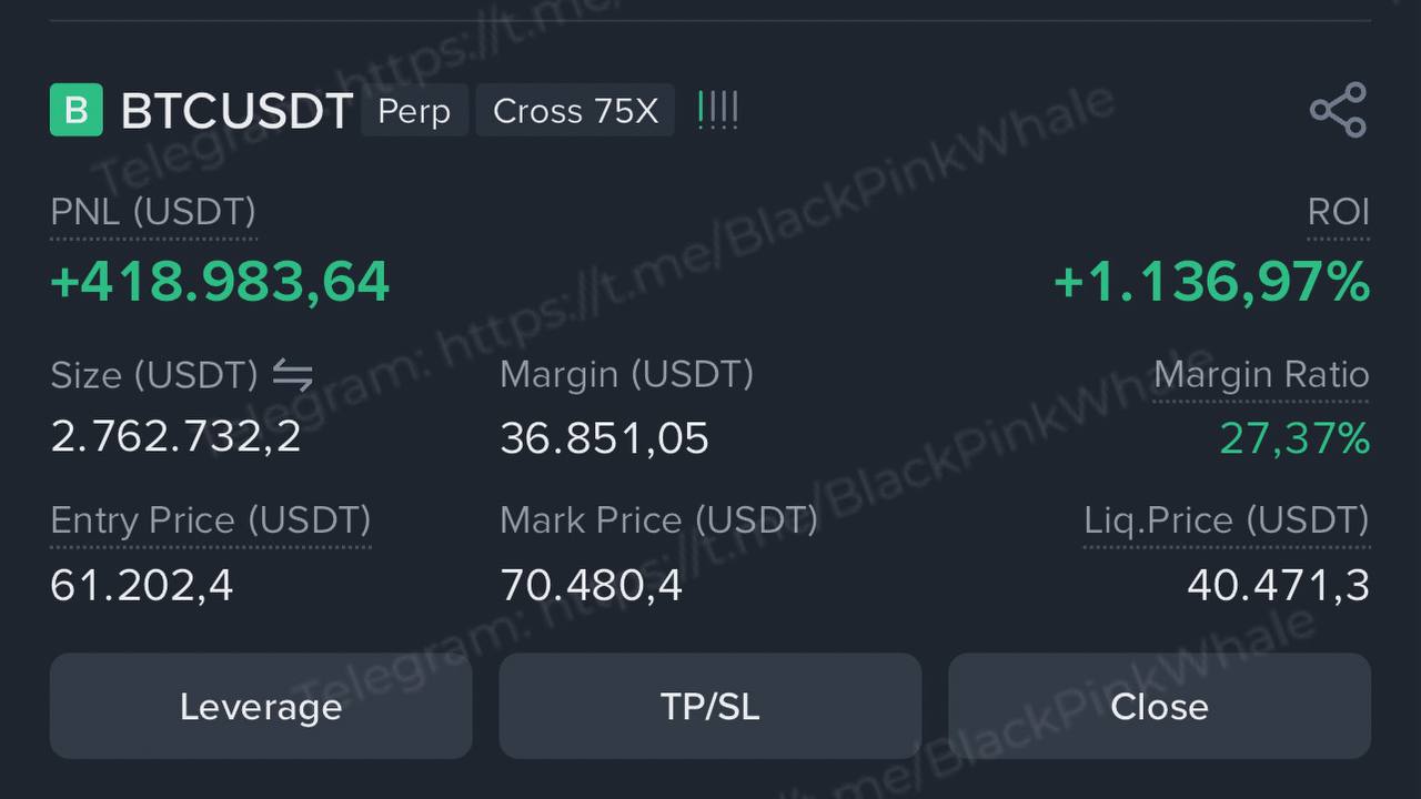 BLACKPINK WHALE CRYPTO TRADING 🐳