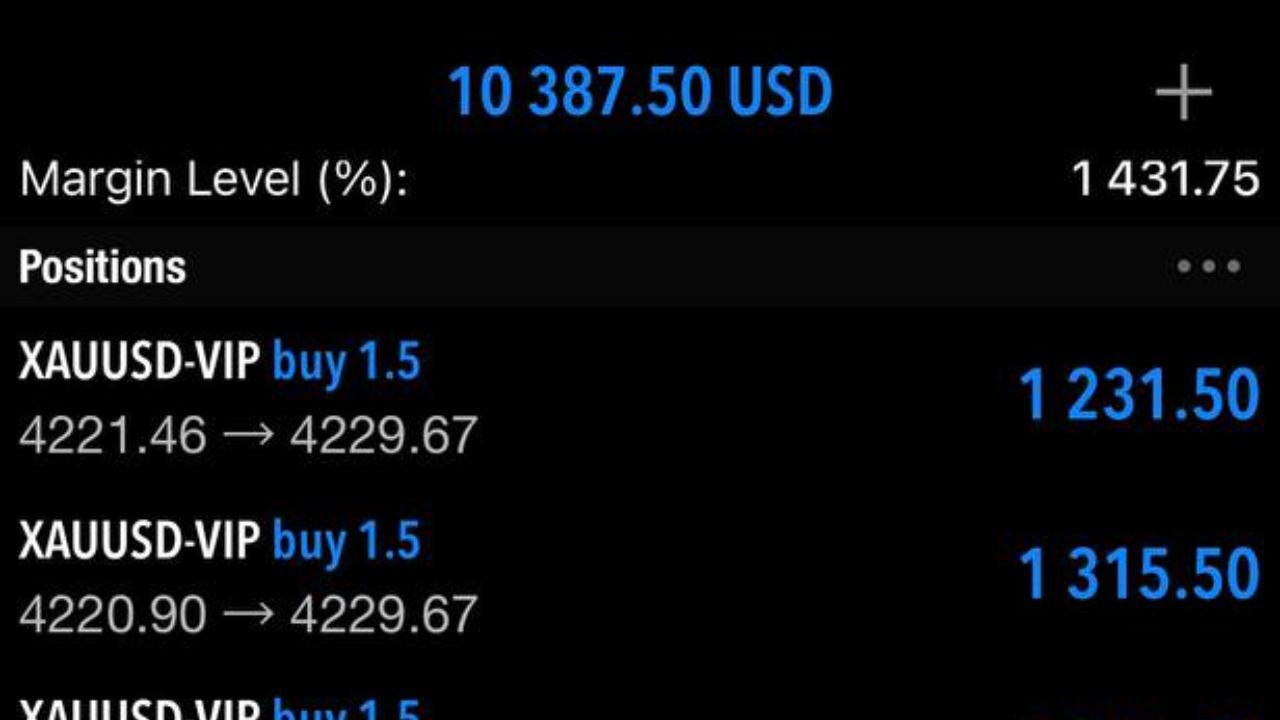 Trade X Top Global