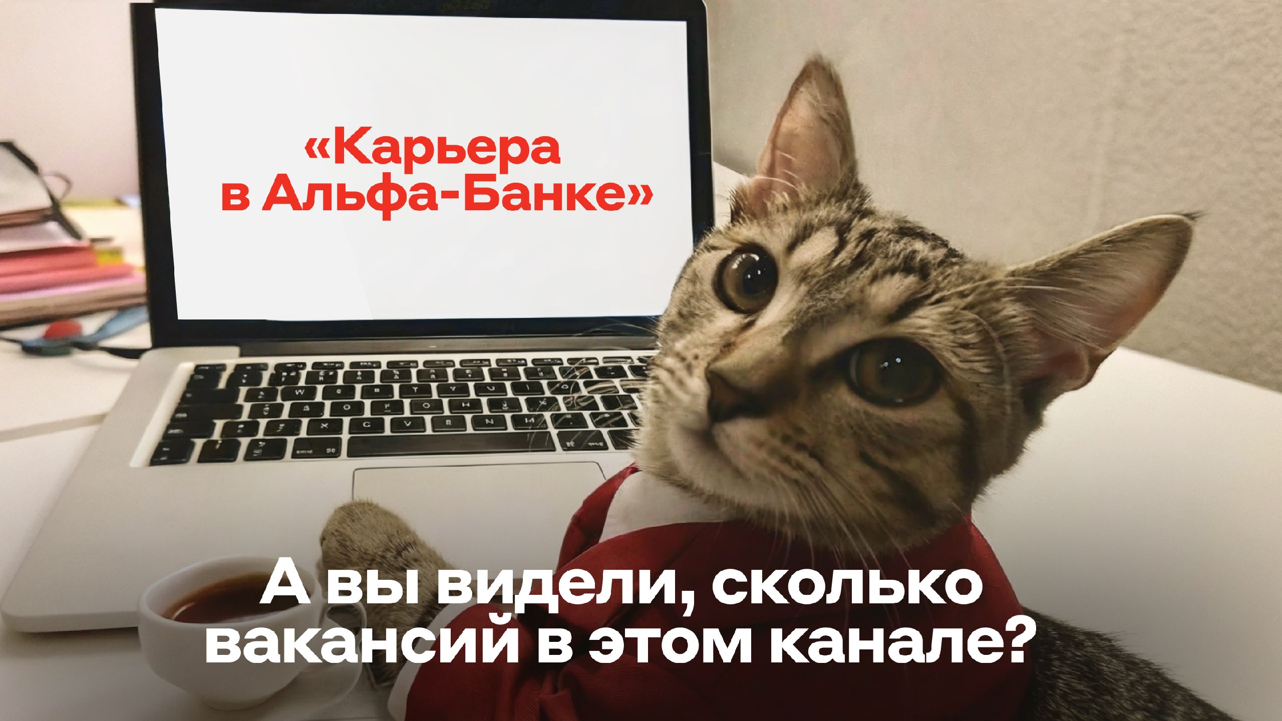 Карьера в Альфа-Банке