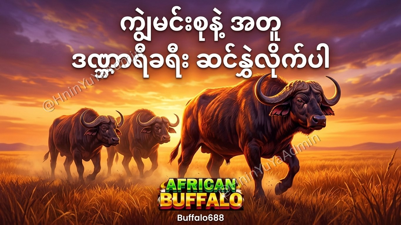 ကျွဲဂိမ်းအစစ် Buffalo688 ၊ကျွဲဘုရင် ၊ရှမ်းကိုးမီး၊ဘူကြီး