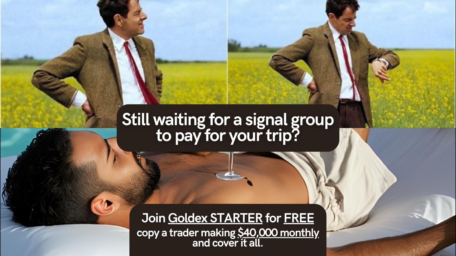 Gold Trader | Ionut