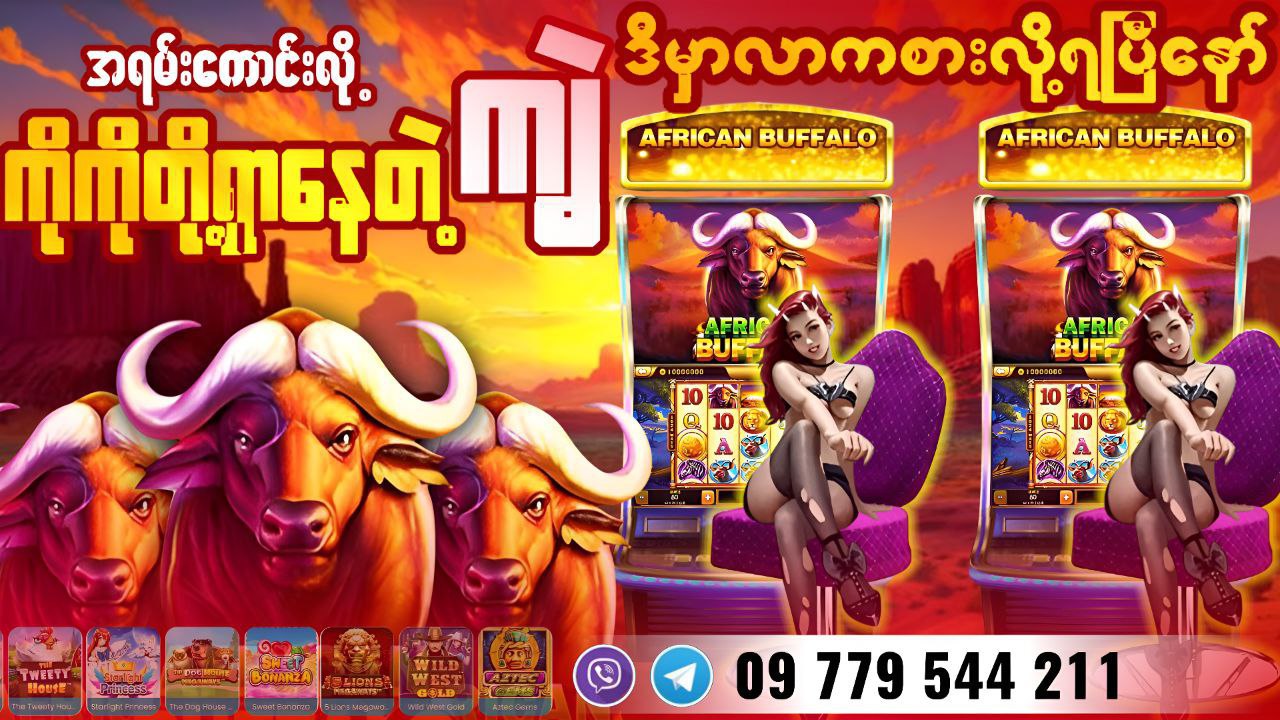 ကျွဲဂိမ်း African Buffalo အစစ်အမှန် Buffalo688