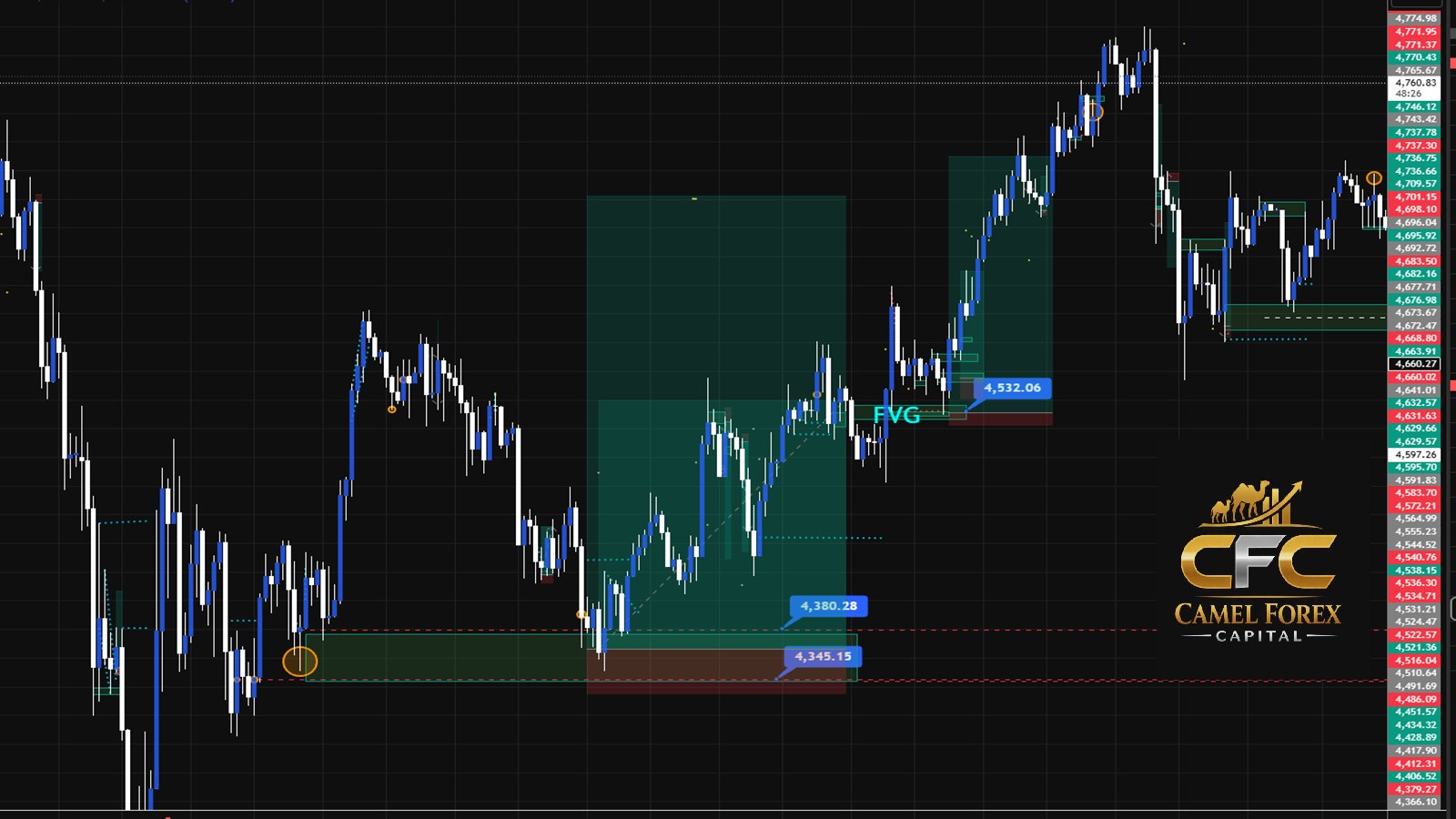 Camel Forex Capital