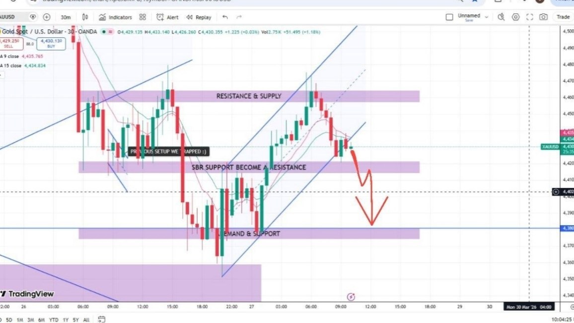 GOLD MARKET DOMINATOR