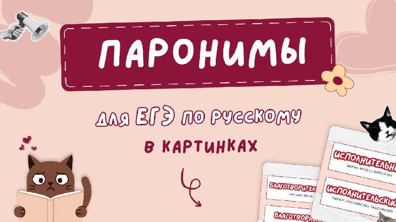 русский и котики / егэ 2026 / стадикэтс