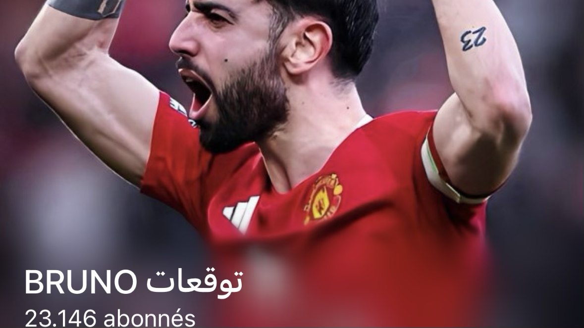BRUNO توقعات