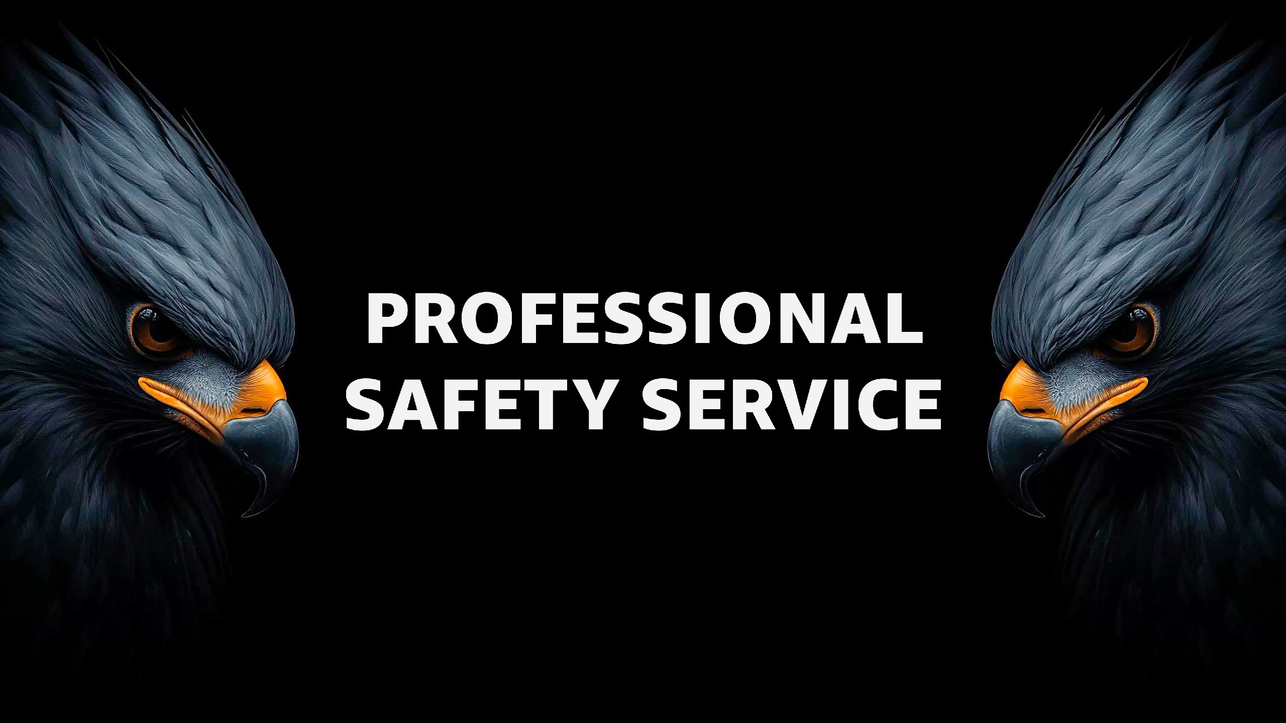 Dawson Safety Team
