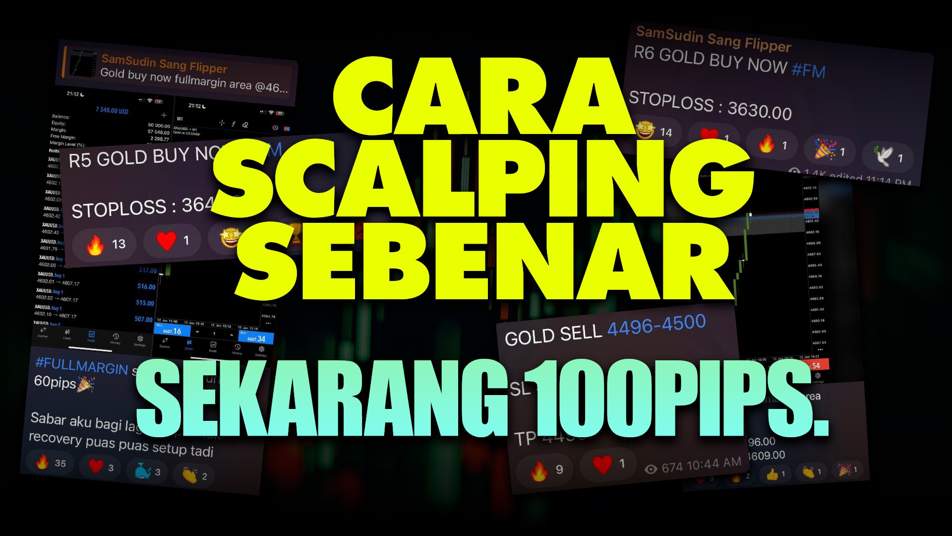SamSudin Sang Flipper