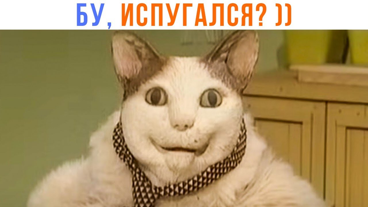 Сейлик