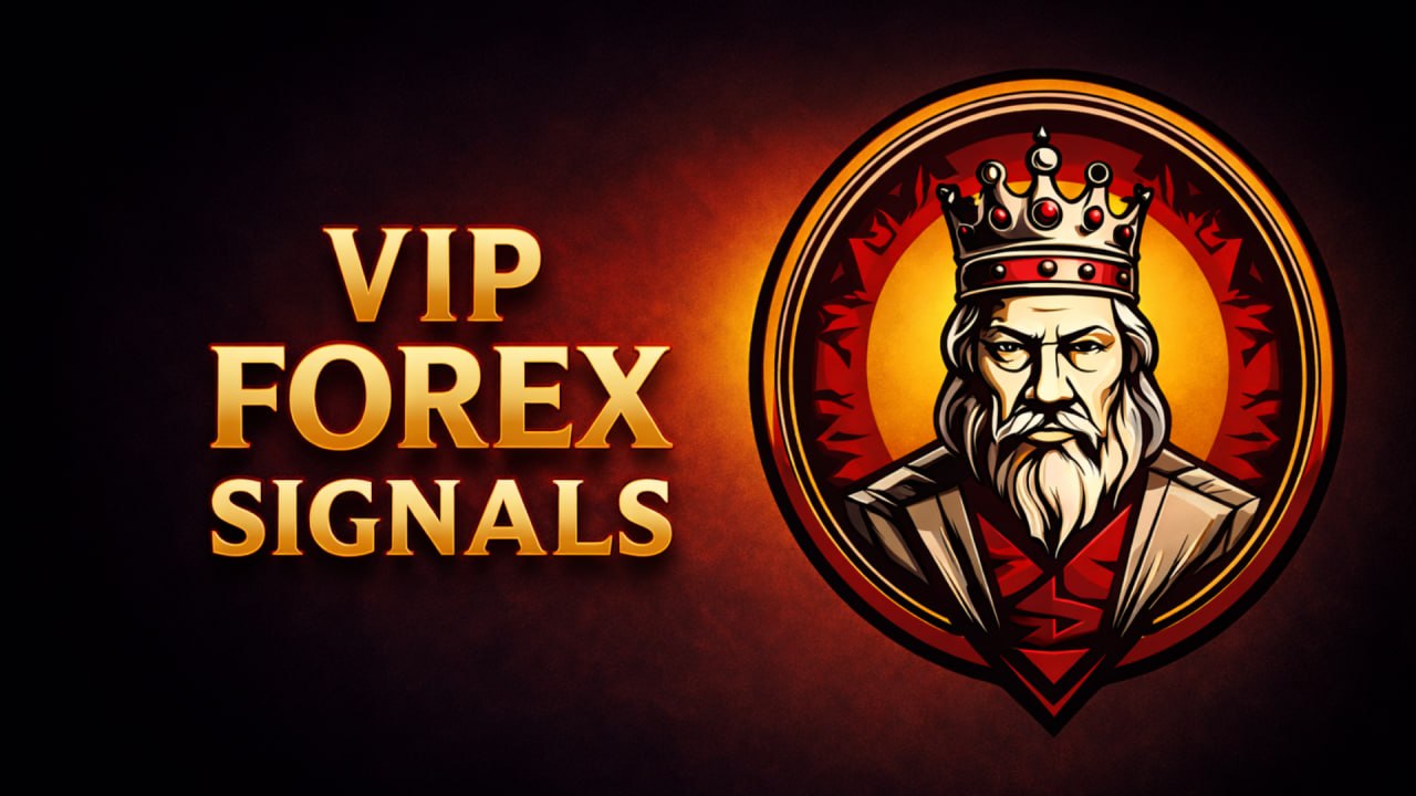 FOREX KING π