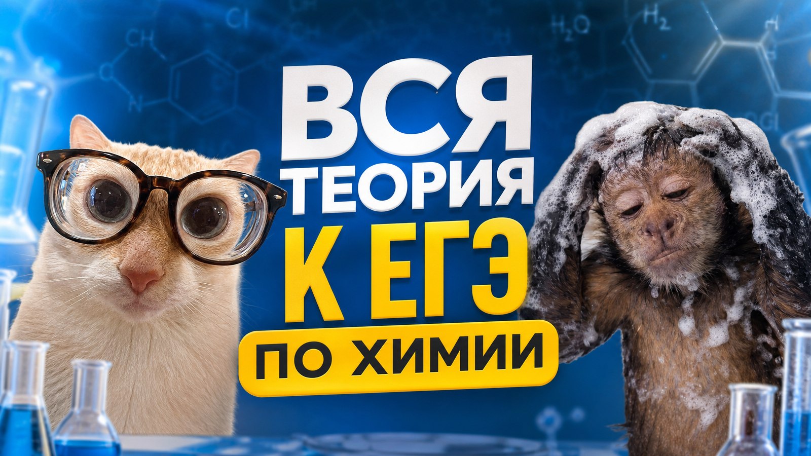 Катя Строганова | Химия ЕГЭ
