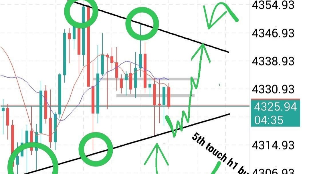 GOLD MARKET DOMINATOR