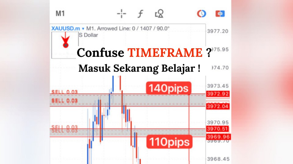 Along Gold Scalper