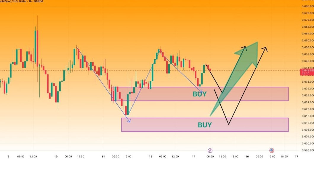 XAUUSD EXPERT