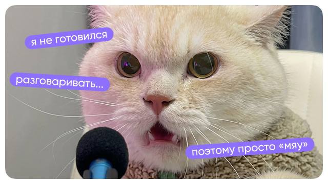 Инглекс | Заряжаемся английским