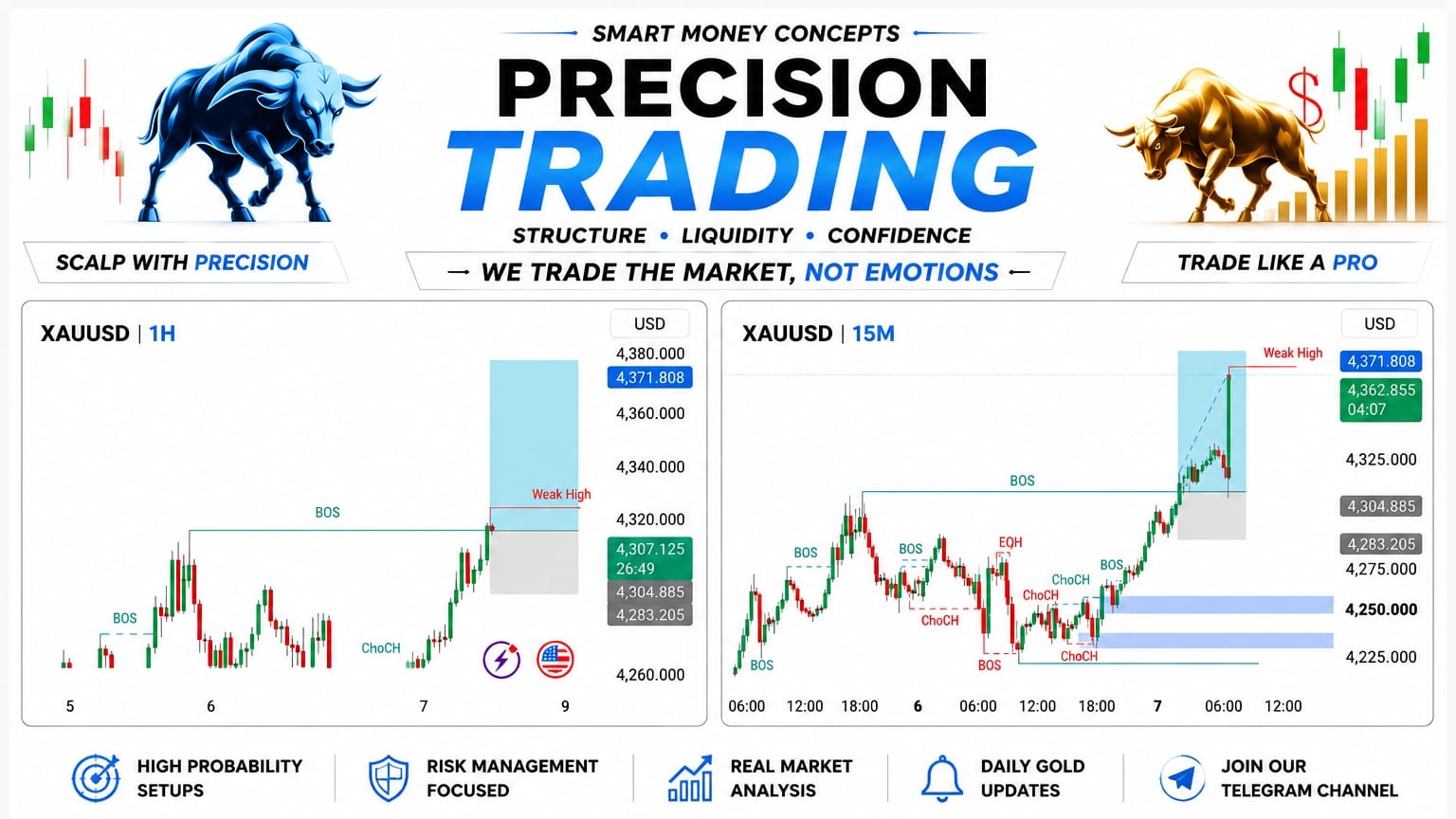 Prime Forex Signals