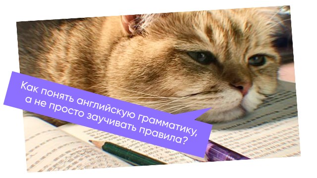 Инглекс | Заряжаемся английским