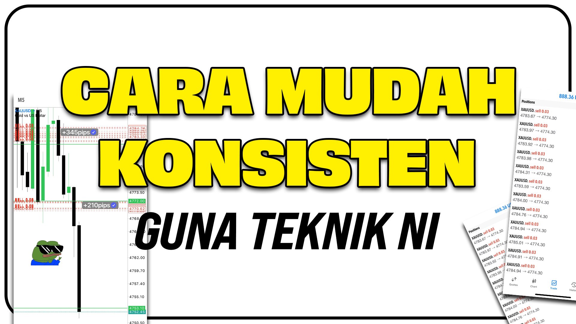 SIGNAL LAYER GILA!!!!